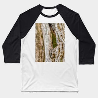 The bark of old trees Baseball T-Shirt